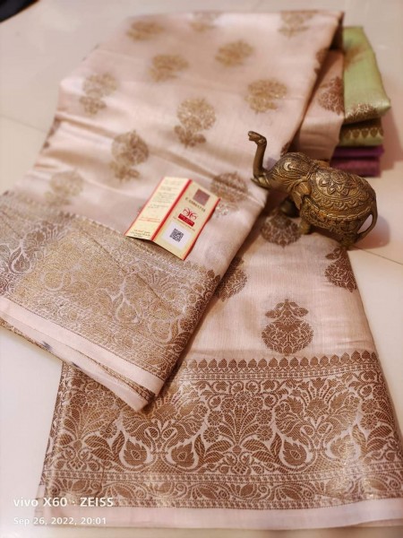 Pure Tussar Munga with Banarasi Designs